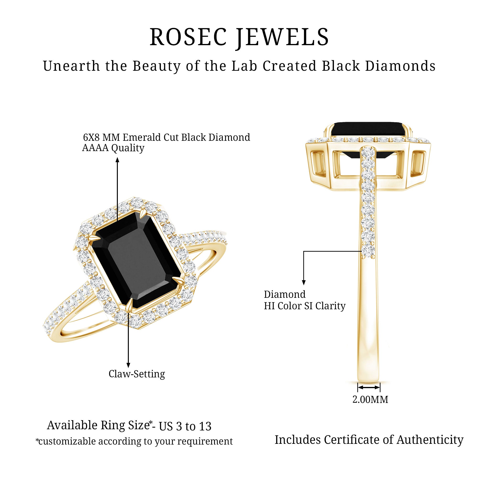 1.6 Carat Lab Grown Black and White Diamond Emerald Cut Engagement Ring with Halo AAAA ( Synthetic ) - Rosec Jewels