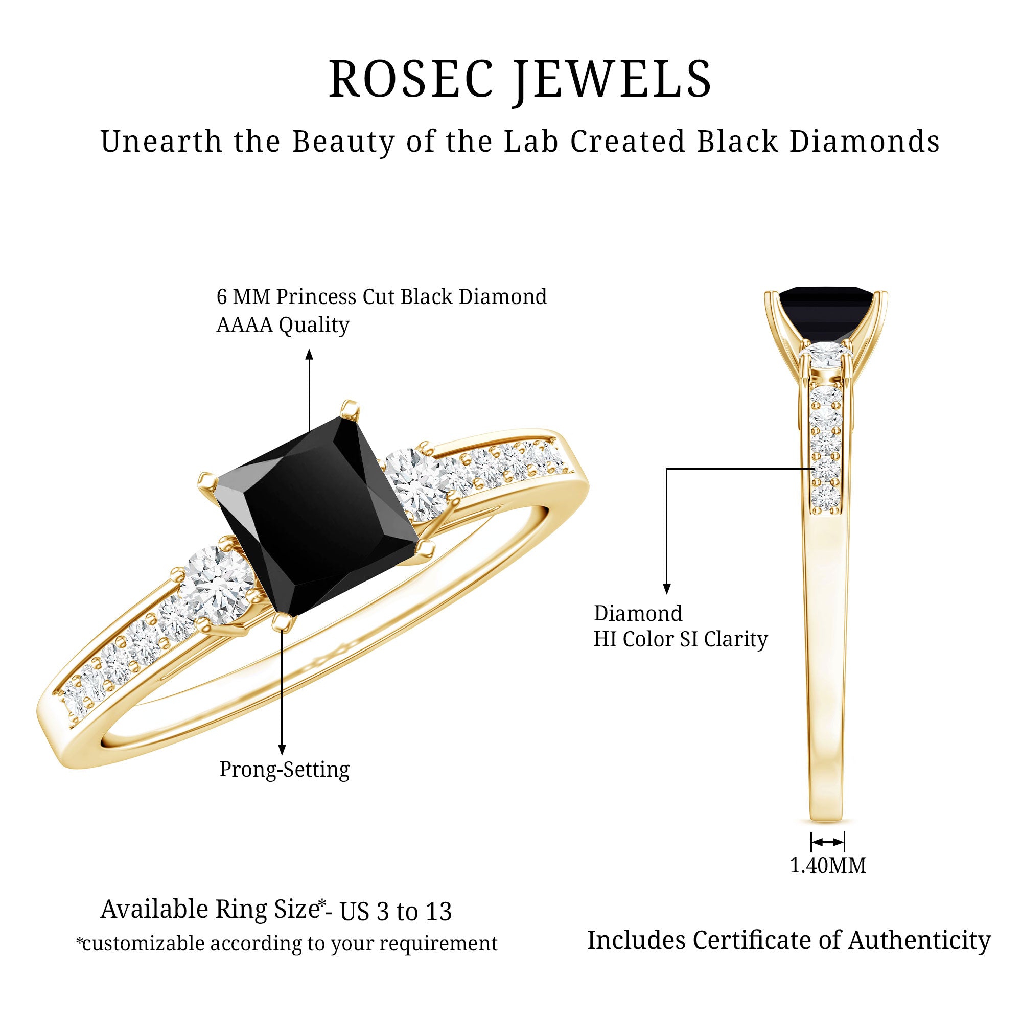Certified 1 Carat Lab Grown Black and White Diamond Princess Cut Engagement Ring AAAA ( Synthetic ) - Rosec Jewels