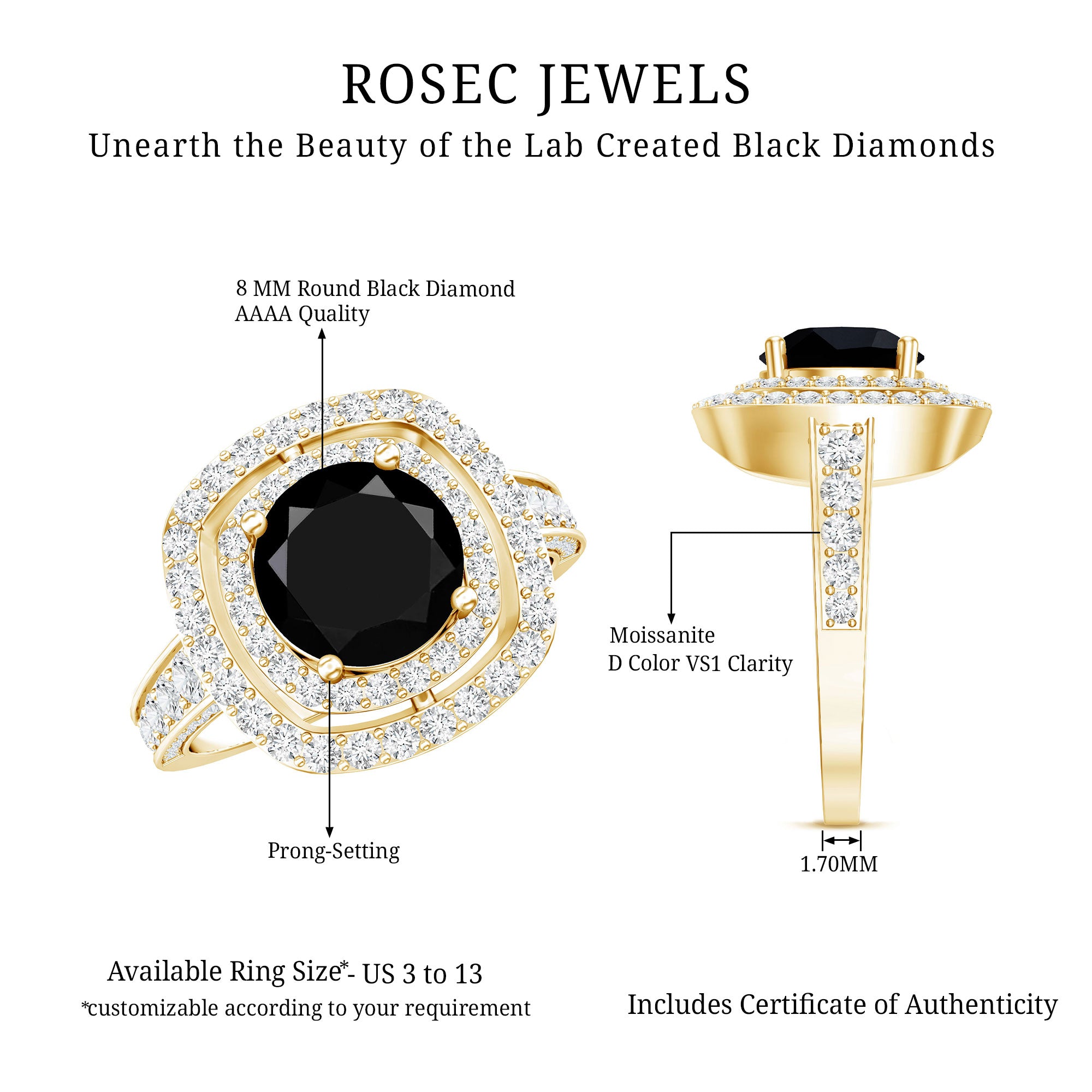 Certified 2 Carat Lab Grown Black Diamond Double Halo Engagement Ring with Moissanite AAAA ( Synthetic ) - Rosec Jewels