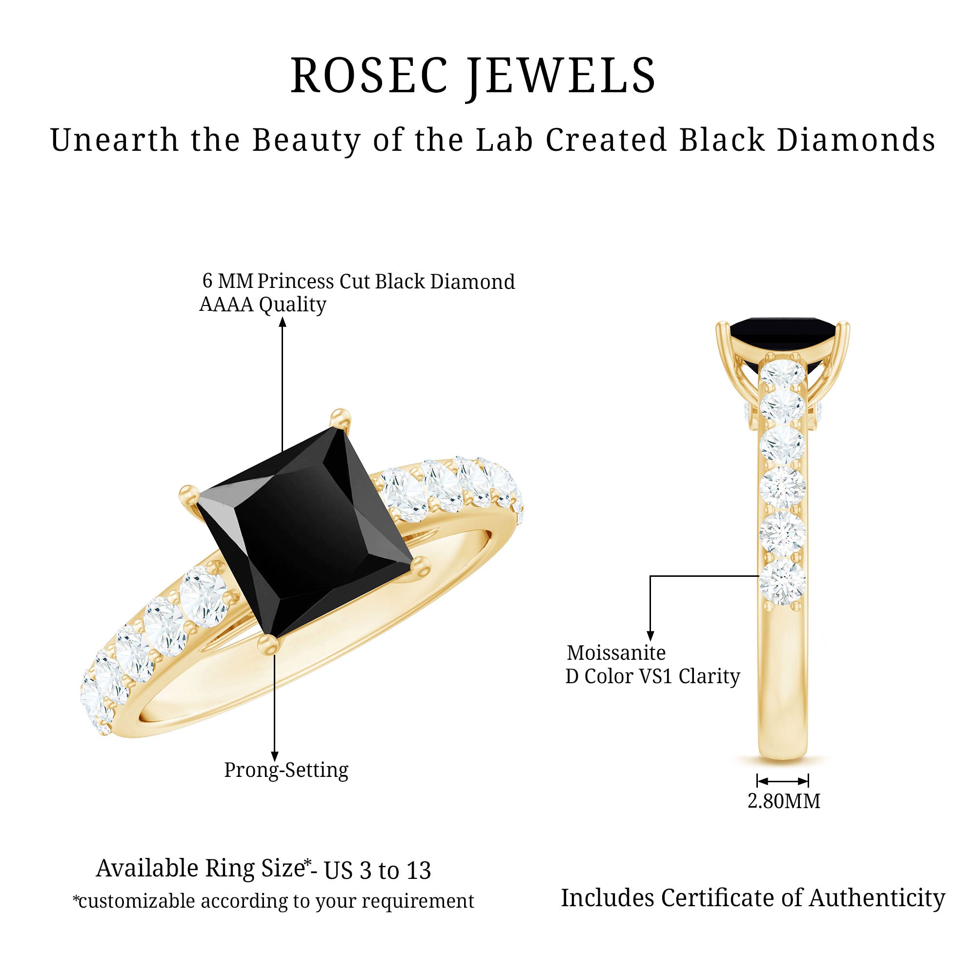 Certified 1 Carat Lab Grown Black Diamond Princess Cut Engagement Ring with Moissanite AAAA ( Synthetic ) - Rosec Jewels