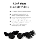 5 MM Round Black Onyx Solitaire Stud Earrings in Claw Setting Black Onyx - ( AAA ) - Quality - Rosec Jewels