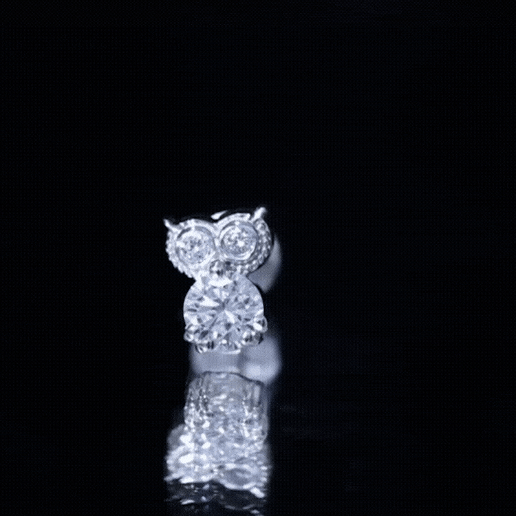 Round Cut Moissanite Owl Earring for Cartilage Piercing D-VS1 - Rosec Jewels