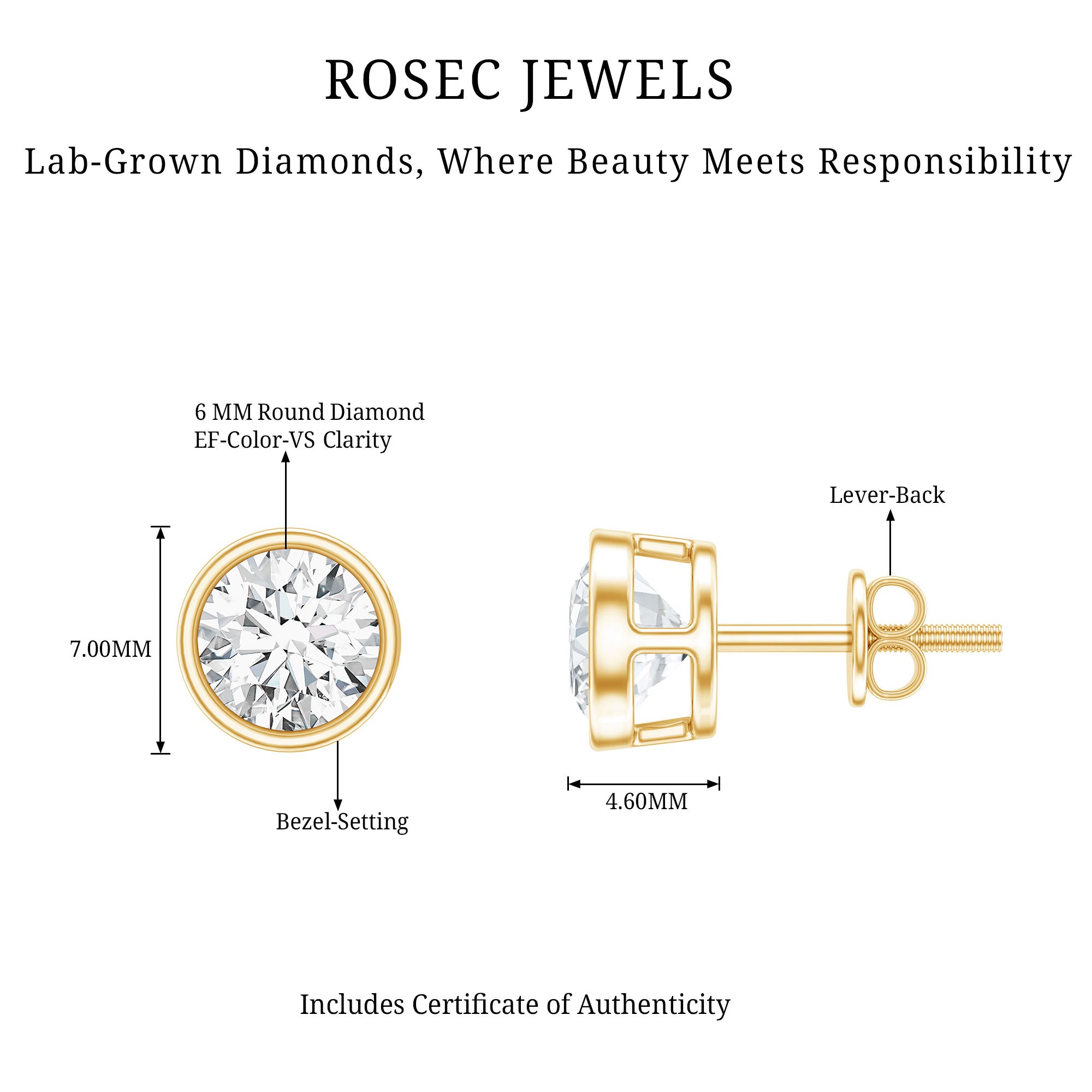 Rosec Jewels-IGI Certified 2 CT Lab Grown Diamond Solitaire Stud Earrings