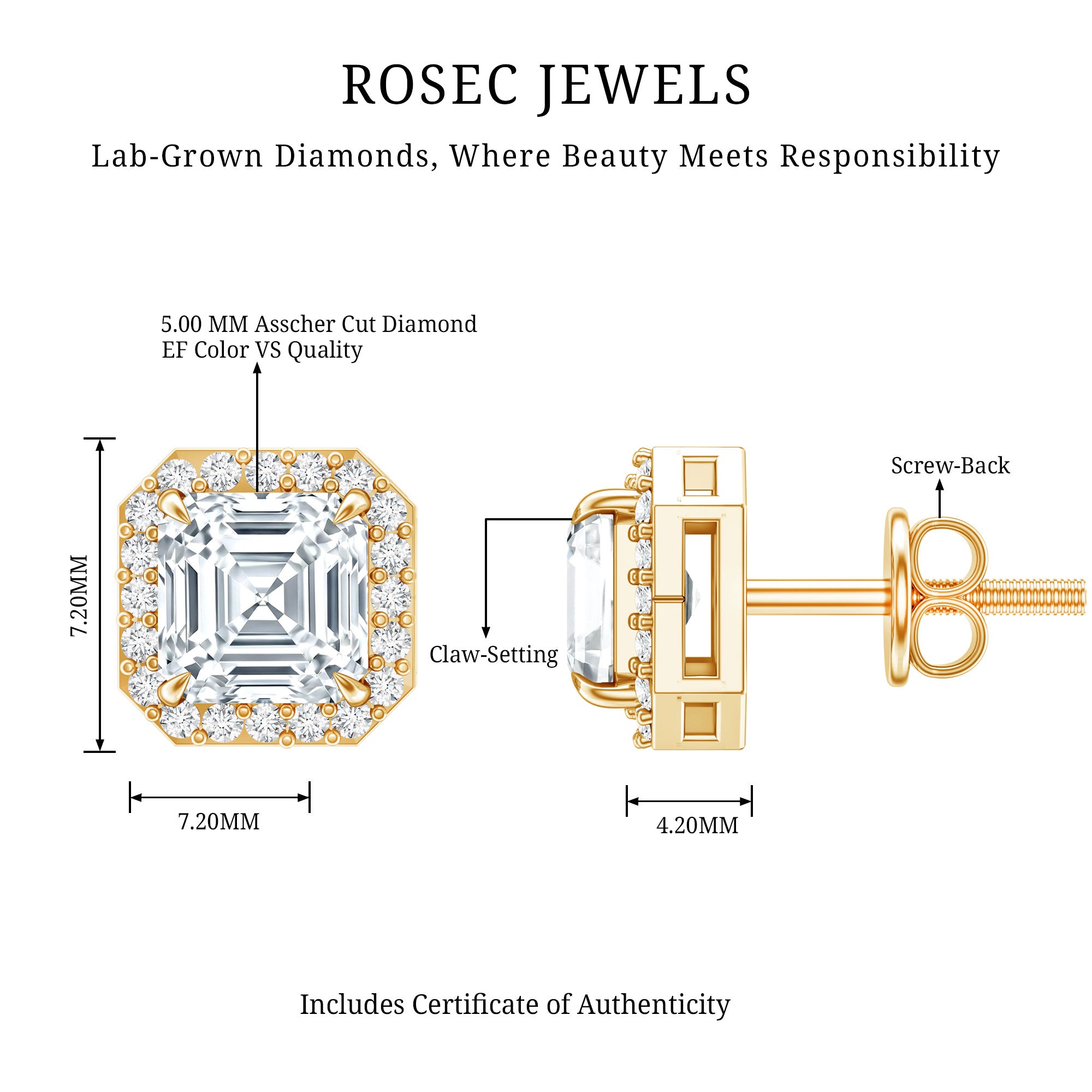 Rosec Jewels-Certified 1.4 Carat Asscher Cut Lab Grown Diamond Studs