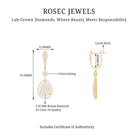 Rosec Jewels-Lab Grown Diamond Bridal Drop Earrings