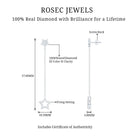 Rosec Jewels-Diamond Star Chain Dangle Earrings
