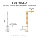 2 Carat Emerald Cut Lab Grown Diamond Bridal Drop Earrings with IGI Certificate Lab - ( E-VS1 ) - Rosec Jewels