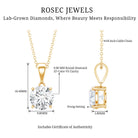 Rosec Jewels-3 Carat Solitaire Lab Grown Diamond Pendant with IGI Certificate