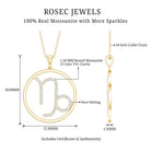 Certified Moissanite Capricorn Zodiac Necklace D-VS1 - Rosec Jewels