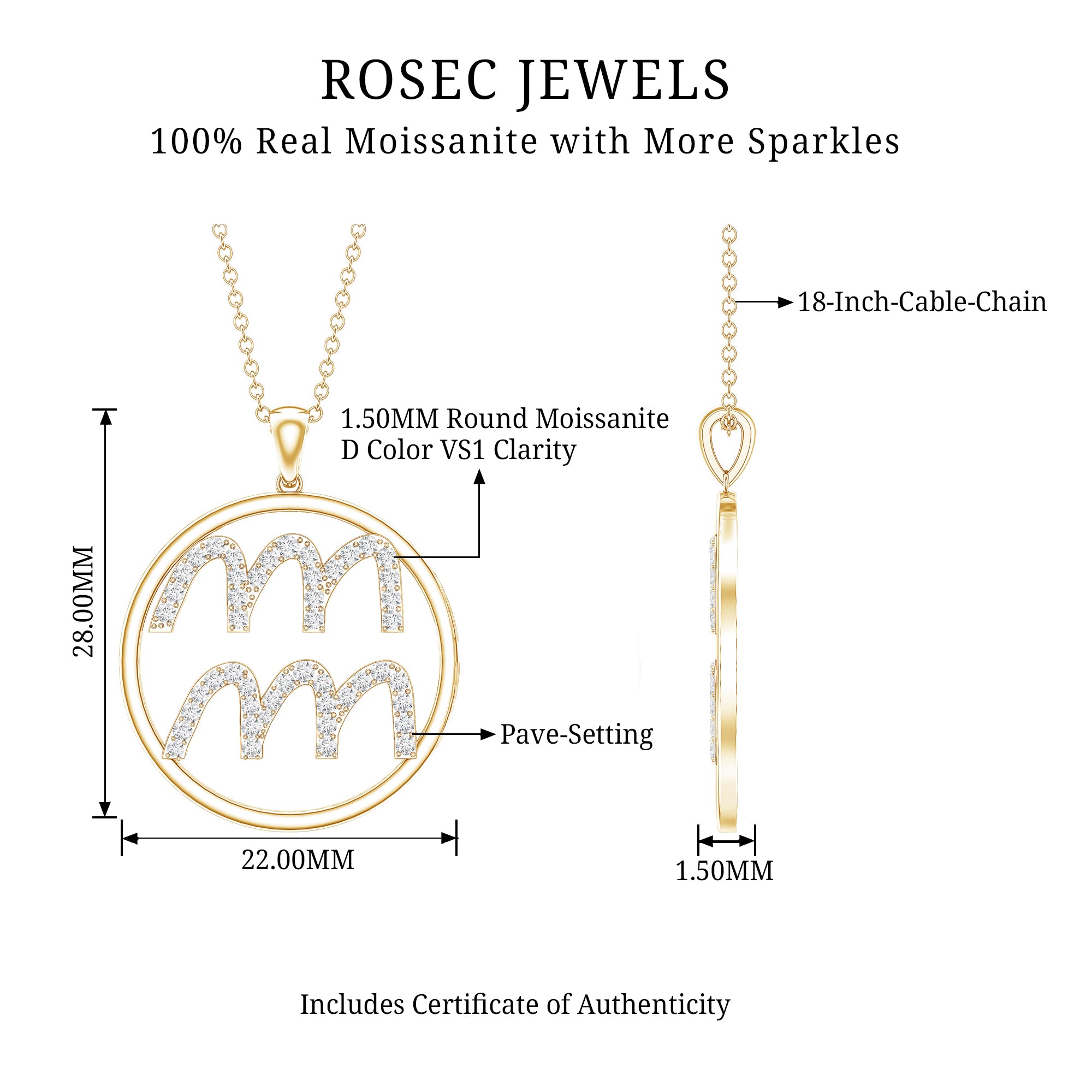 Certified Moissanite Zodiac Aquarius Pendant Necklace D-VS1 - Rosec Jewels