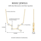 Moissanite Virgo Zodiac Constellation Necklace D-VS1 - Rosec Jewels