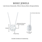 Rosec Jewels-Certified Lab Created Diamond Halo Necklace For Bride