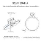 3 Carat IGI Certified Lab Grown Diamond Solitaire Engagement Ring Lab - ( E-VS1 ) - Rosec Jewels