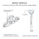 3 Carat Lab Grown Diamond Braided Engagement Ring with Certificate Lab - ( EF-VS ) - Rosec Jewels