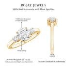 Rosec Jewels-Moissanite Three Stone Round Engagement ring