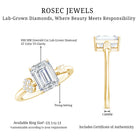 Lab Grown Diamond Emerald Cut Designer Engagement Ring Lab - ( EF-VS ) - Rosec Jewels