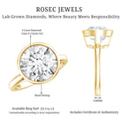 IGI Certified 4 CT Lab Grown Diamond Engagement Ring in Bezel Setting Lab - ( E-VS1 ) - Rosec Jewels