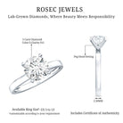 IGI Certified 3 CT Round Lab Grown Diamond Solitaire Engagement Ring Lab - ( E-VS1 ) - Rosec Jewels