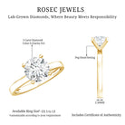 IGI Certified 3 CT Round Lab Grown Diamond Solitaire Engagement Ring Lab - ( E-VS1 ) - Rosec Jewels