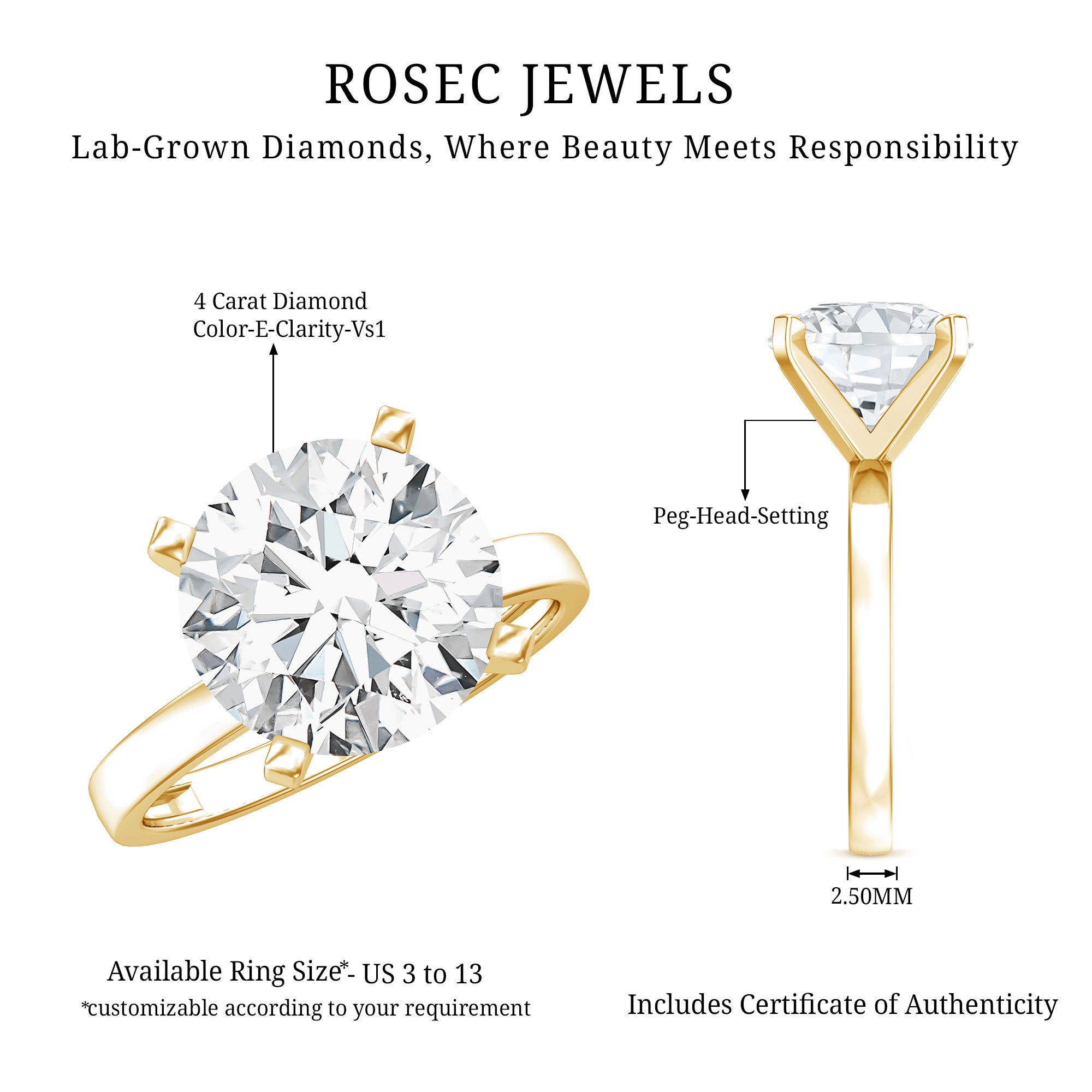 4 CT IGI Certified Lab Diamond Timeless Engagement Ring Lab - ( E-VS1 ) - Rosec Jewels