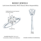 Rosec Jewels-3 Carat IGI Certified Lab Grown Diamond Round Engagement Ring