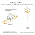 Rosec Jewels-3 Carat IGI Certified Lab Grown Diamond Round Engagement Ring