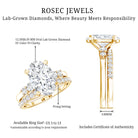 4 Carat Oval Wedding Ring Set with IGI Certified Lab Grown Diamond Lab - ( EF-VS ) - Rosec Jewels