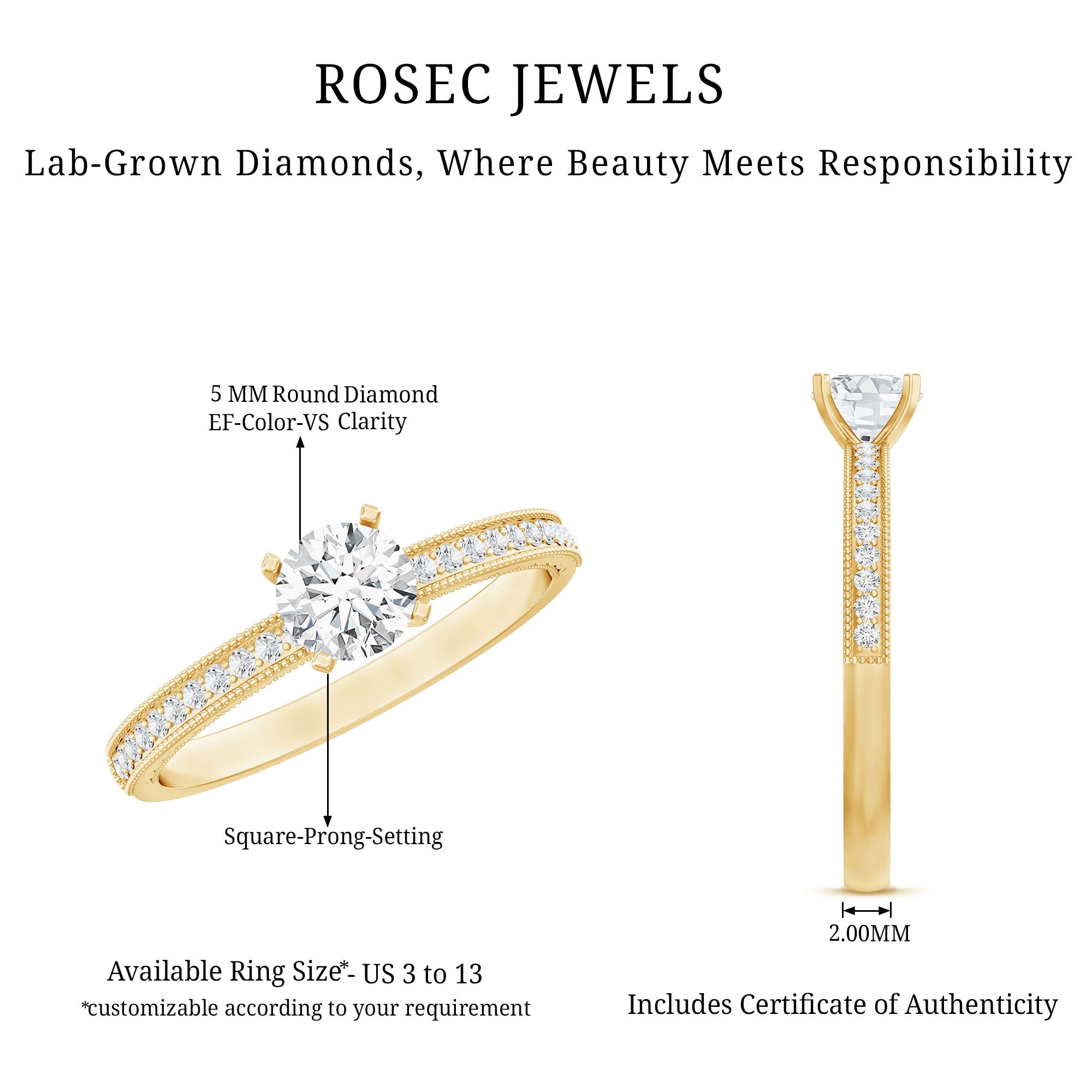 5MM Lab Grown Diamond Engagement Ring With Side Stones Lab - ( EF-VS ) - Rosec Jewels