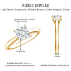 6 MM Princess Cut Lab Grown Diamond Solitaire Engagement Ring For Women Lab - ( EF-VS ) - Rosec Jewels