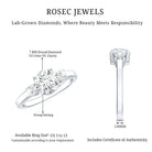 3 Stone Lab Grown Diamond Engagement Ring for Women Lab - ( EF-VS ) - Rosec Jewels