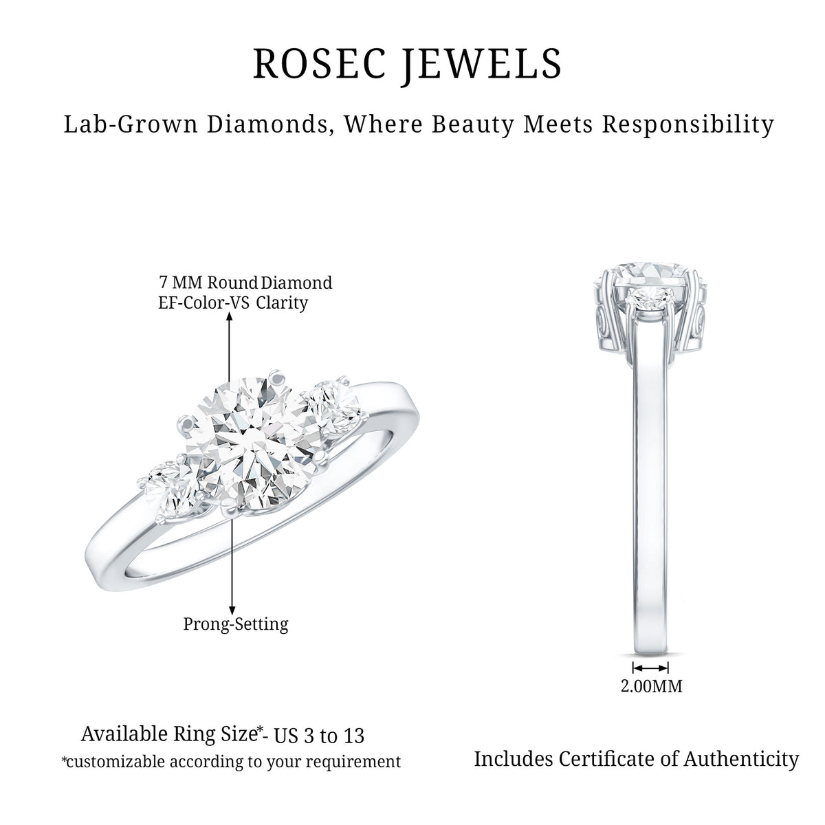 1.2 Carat Lab Grown Diamond 3 Stone Engagement Ring for Women Lab - ( EF-VS ) - Rosec Jewels
