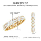 Rosec Jewels-Lab Grown Diamond 3 Row Wedding Band For Women