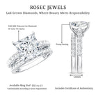 4 Carat IGI Certified Lab Grown Diamond Princess Cut Bridal Ring Set Lab - ( EF-VS ) - Rosec Jewels
