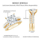 5 Carat IGI Certified Princess Cut Lab Diamond Engagement Ring with Band Lab - ( EF-VS ) - Rosec Jewels