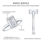 IGI Certified Emerald Cut Lab Grown Diamond 3 Carat Engagement Ring Lab - ( EF-VS ) - Rosec Jewels