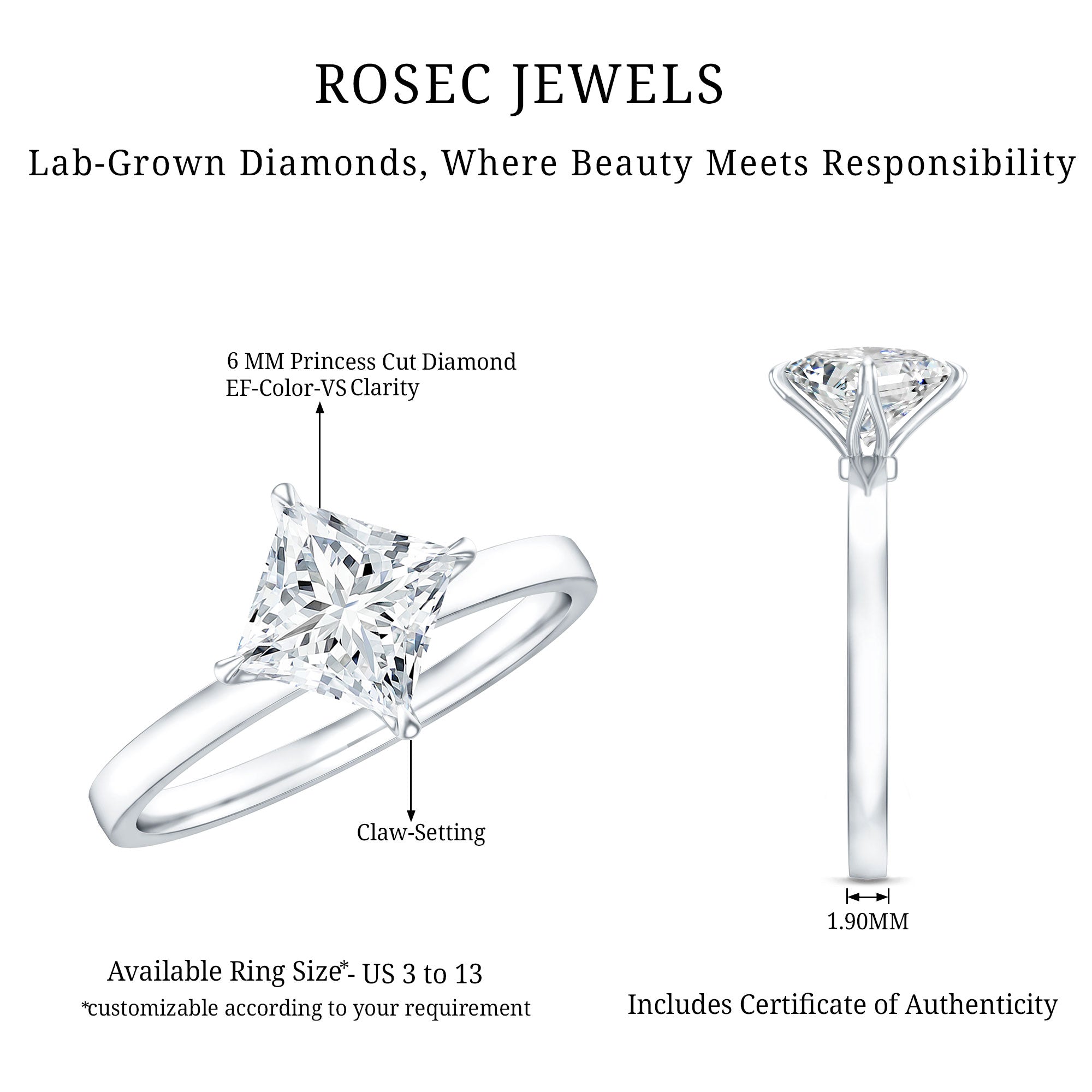 1 Carat Lab Created Diamond Princess Cut Engagement Ring IGI Certified Lab - ( EF-VS ) - Rosec Jewels
