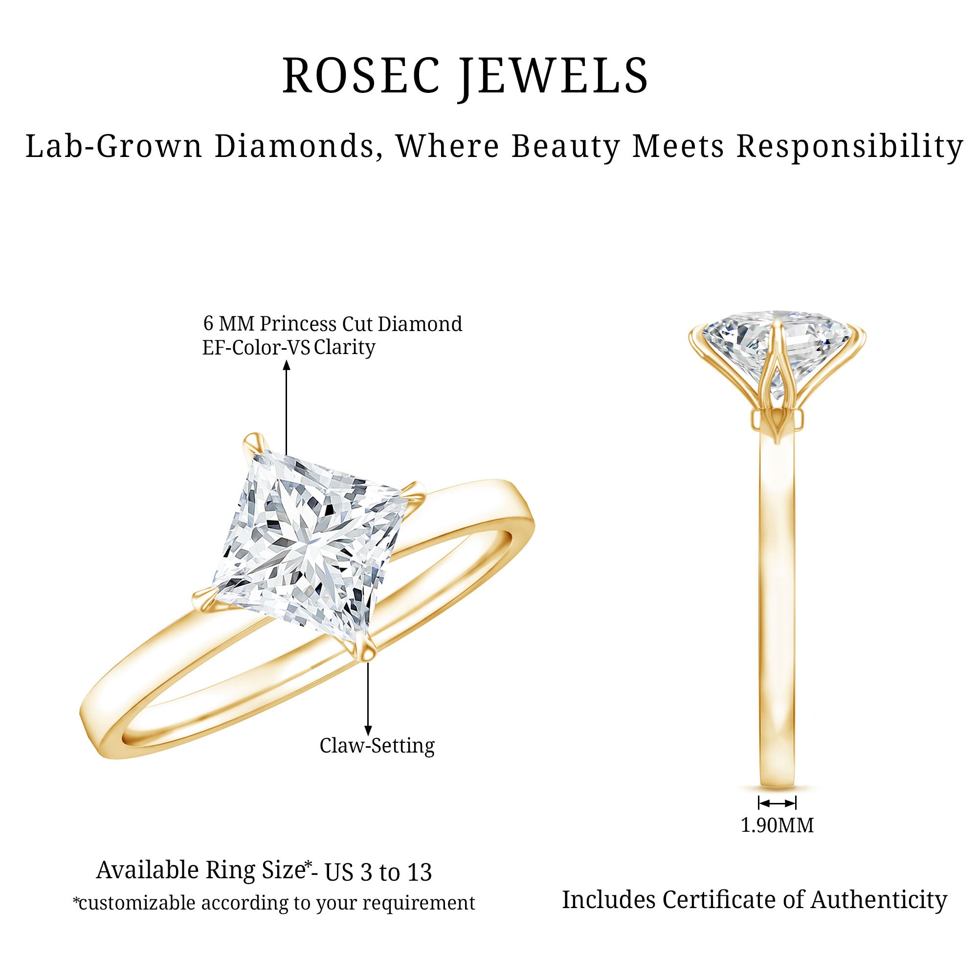 1 Carat Lab Created Diamond Princess Cut Engagement Ring IGI Certified Lab - ( EF-VS ) - Rosec Jewels