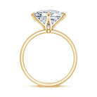 IGI Certified Lab Grown Diamond 3 Carat Princess Cut Engagement Ring Lab - ( E-VS1 ) - Rosec Jewels