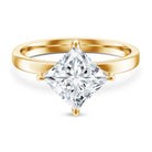 IGI Certified Lab Grown Diamond 3 Carat Princess Cut Engagement Ring Lab - ( E-VS1 ) - Rosec Jewels