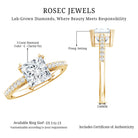IGI Verified Lab Grown Diamond 3 Carat Princess Cut Engagement Ring Lab - ( E-VS1 ) - Rosec Jewels