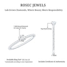 Round Brilliant Cut Lab Grown Diamond Promise Ring with Side Stones Lab - ( EF-VS ) - Rosec Jewels
