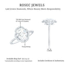 Rosec Jewels-Brilliant Cut Oval Lab Grown Diamond Halo Engagement Ring