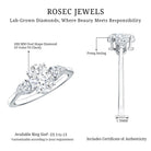 Rosec Jewels-1 Carat Lab Grown Diamond Three Stone Engagement Ring with IGI Certificate