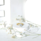 Rosec Jewels-IGI Certified 2 Carat Lab Grown Diamond Oval Hidden Halo Engagement Ring with Braided Band