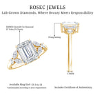 Rosec Jewels-IGI Certified Emerald Cut Lab Grown Diamond Split Shank Engagement Ring 2 Carat