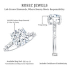 Rosec Jewels-Lab Grown 4 Carat Diamond Cushion Cut Engagement Ring with IGI Certificate