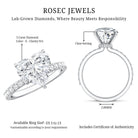 Rosec Jewels-Heart Shaped Lab Grown Diamond 3 Carat Solitaire Engagement Ring with IGI Certificate