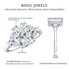 Lab Grown Diamond 3 Carat Radiant Cut Engagement Ring with IGI Certificate Lab - ( E-VS1 ) - Rosec Jewels