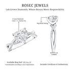 Rosec Jewels-2 Carat Heart Shaped Lab Grown Diamond Crossover Engagement Ring IGI Certified