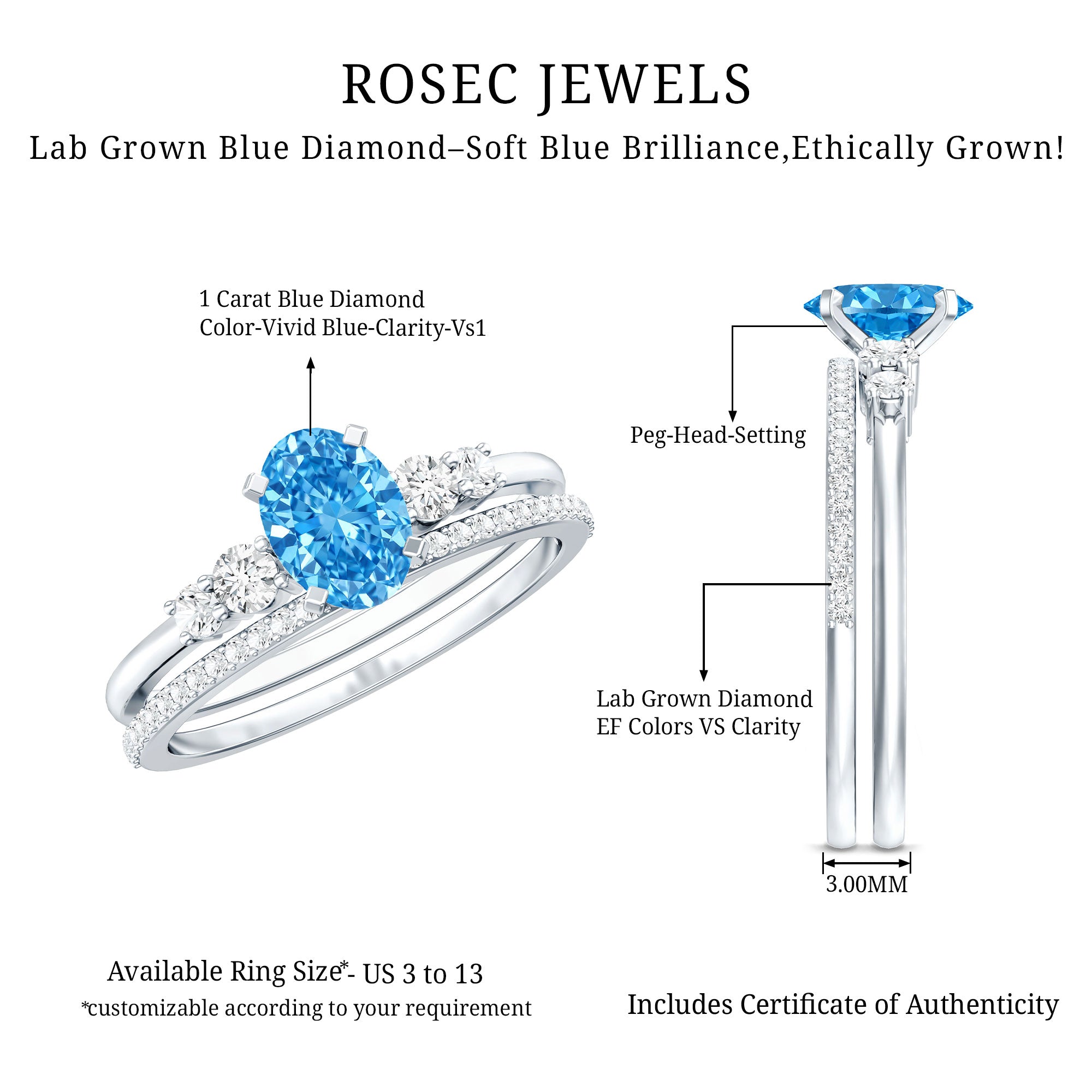 Rosec Jewels-IGI Certified 1 Carat Oval Lab Grown Blue and White Diamond Bridal Ring Set